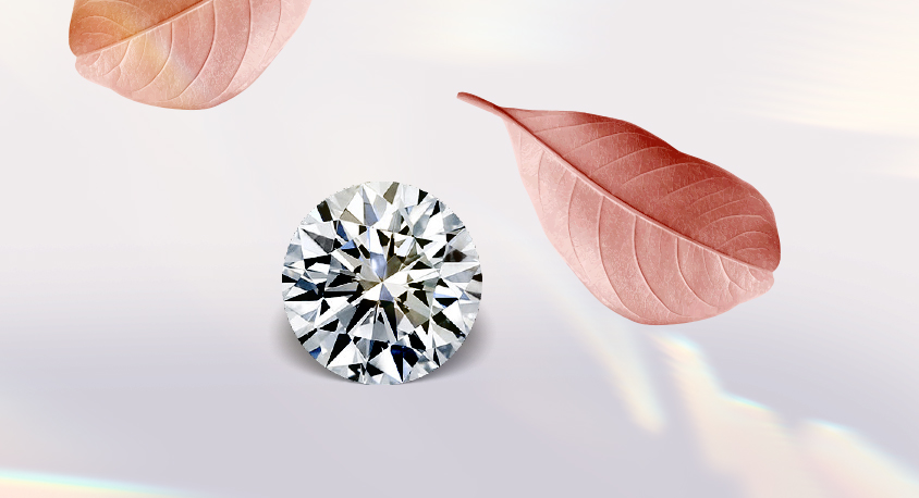 Round Cut Diamond Guide